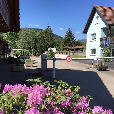ホテルFlower Camping Les Bouleaux Ranspach エクステリア 写真