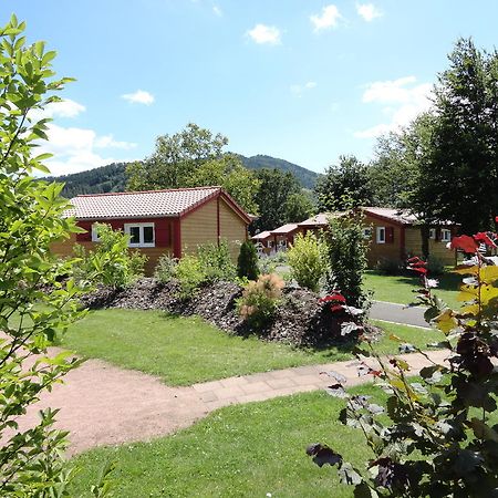 ホテルFlower Camping Les Bouleaux Ranspach 部屋 写真